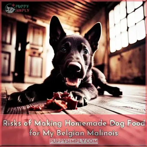 Risks of Making Homemade Dog Food for My Belgian Malinois