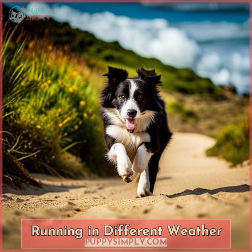 Running in Different Weather