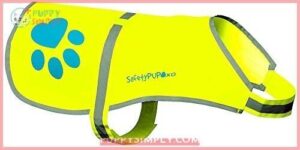 SafetyPUP XD Urban Dog Reflective B00SKAQN9O