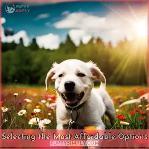 Selecting the Most Affordable Options