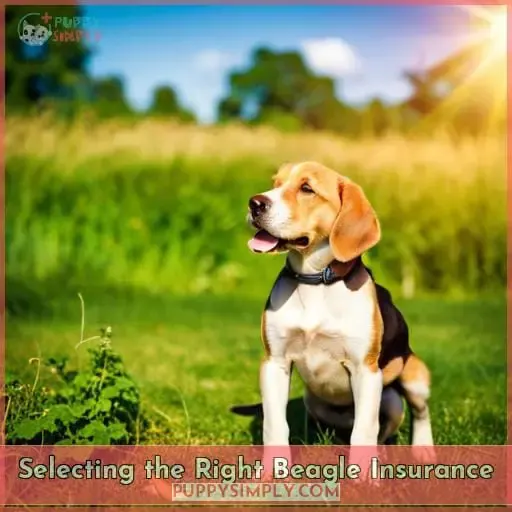 Selecting the Right Beagle Insurance