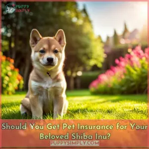 shiba inu pet insurance