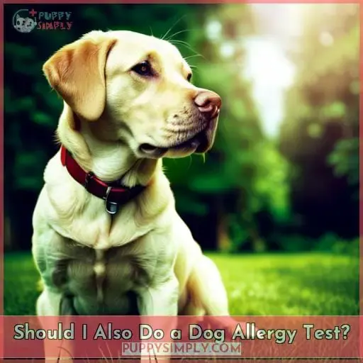 Should I Also Do a Dog Allergy Test