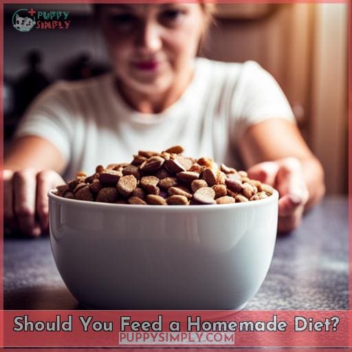Should You Feed a Homemade Diet