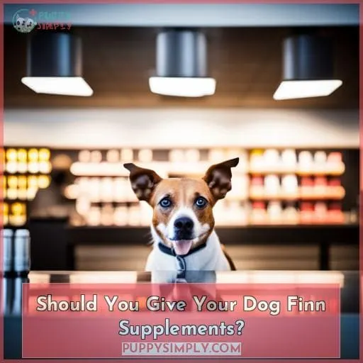 Should You Give Your Dog Finn Supplements