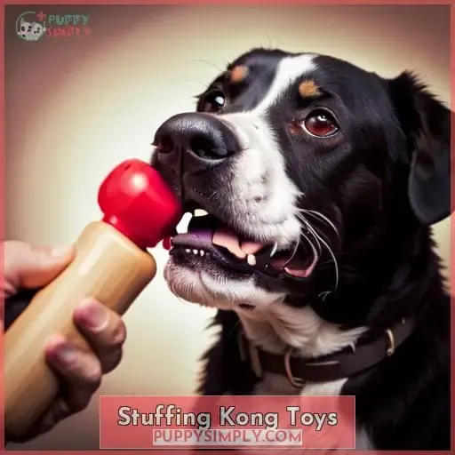 Stuffing Kong Toys