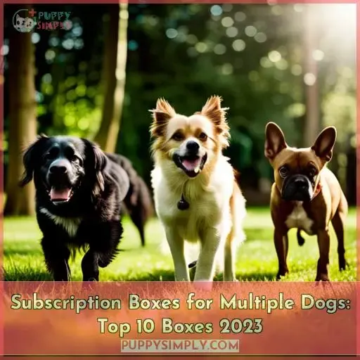 subscription boxes for multiple dogs