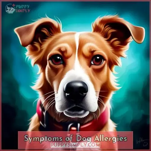 Symptoms of Dog Allergies