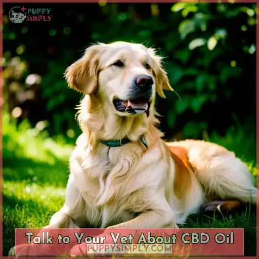 Talk to Your Vet About CBD Oil