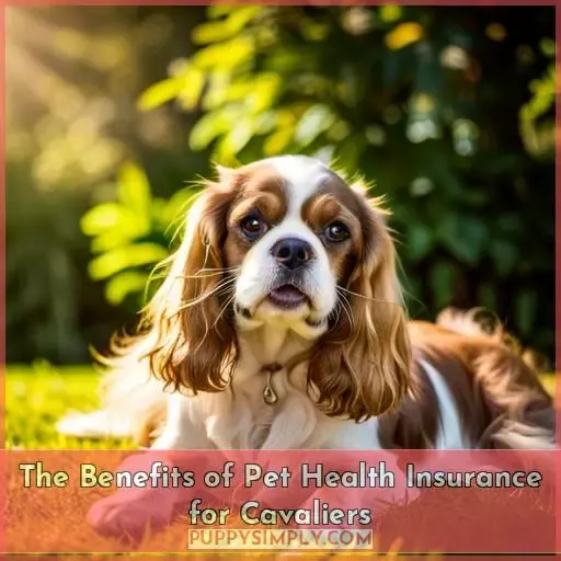 The Benefits of Pet Health Insurance for Cavaliers