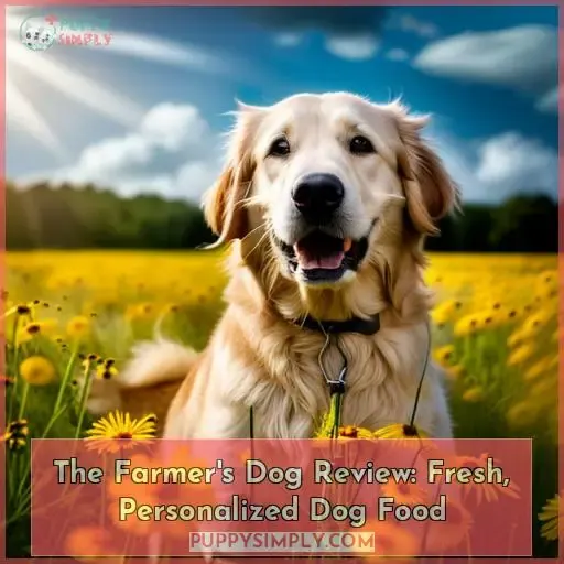 the farmers dog review