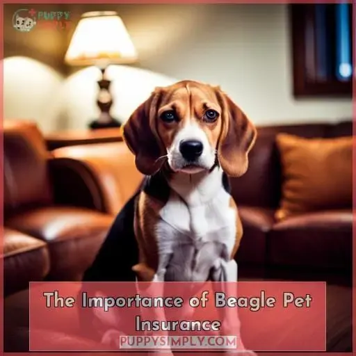 The Importance of Beagle Pet Insurance
