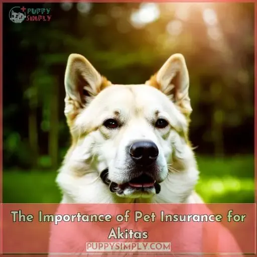 The Importance of Pet Insurance for Akitas