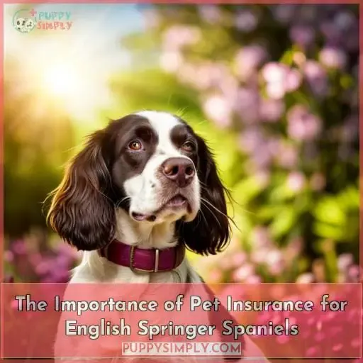 The Importance of Pet Insurance for English Springer Spaniels