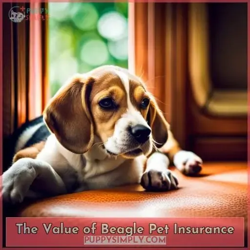 The Value of Beagle Pet Insurance