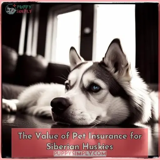 The Value of Pet Insurance for Siberian Huskies