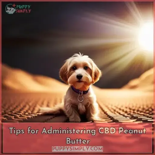 Tips for Administering CBD Peanut Butter