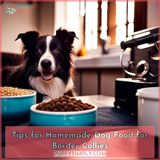 Tips for Homemade Dog Food for Border Collies