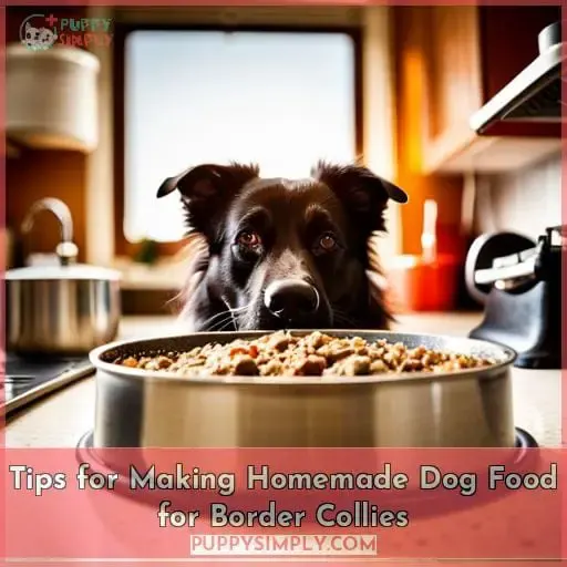 Tips for Making Homemade Dog Food for Border Collies