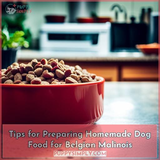 Tips for Preparing Homemade Dog Food for Belgian Malinois