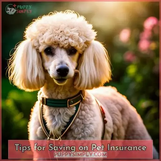 Tips for Saving on Pet Insurance