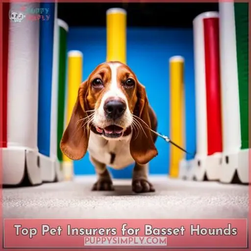 Top Pet Insurers for Basset Hounds