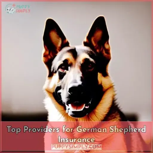 Top Providers for German Shepherd Insurance