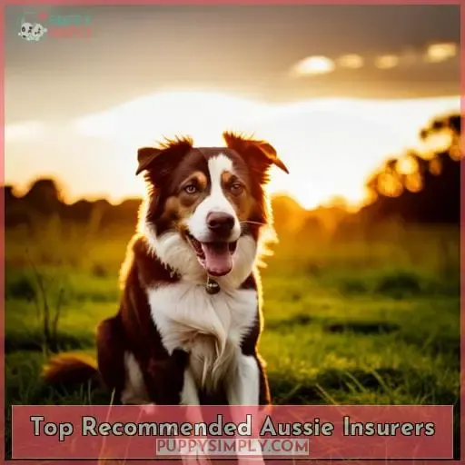 Top Recommended Aussie Insurers