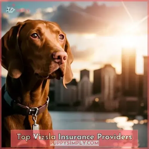 Top Vizsla Insurance Providers