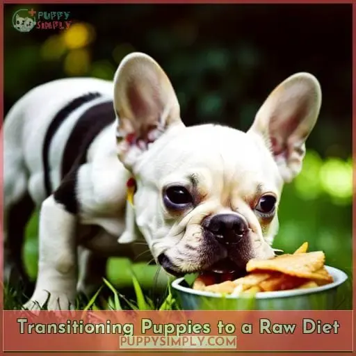 Transitioning Puppies to a Raw Diet