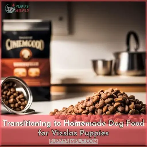 Transitioning to Homemade Dog Food for Vizslas Puppies