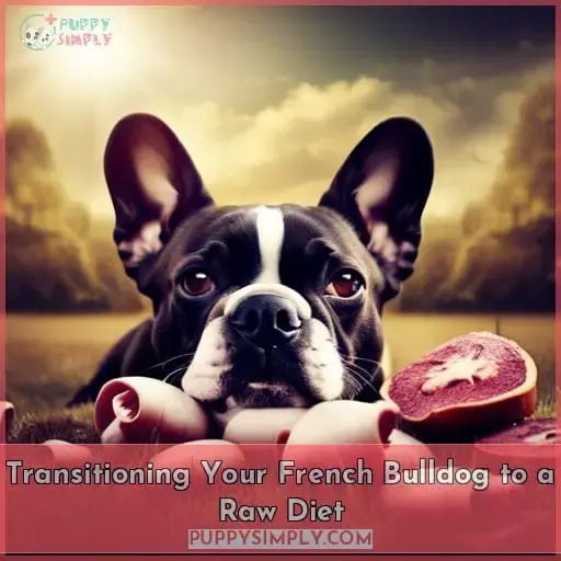 Transitioning Your French Bulldog to a Raw Diet