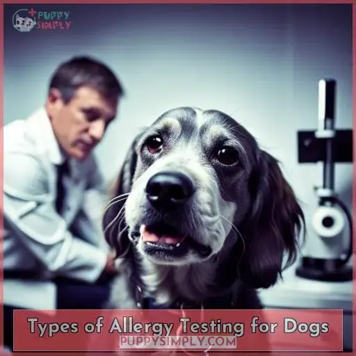 Types of Allergy Testing for Dogs