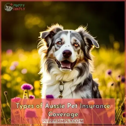 Types of Aussie Pet Insurance Coverage