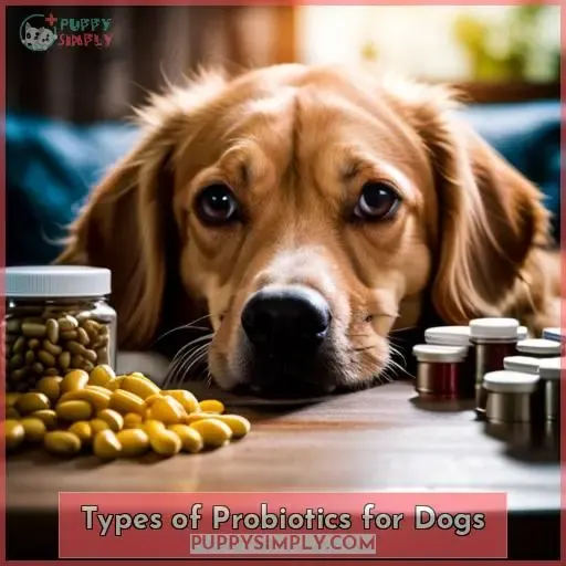 Types of Probiotics for Dogs