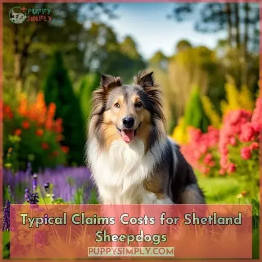 Typical Claims Costs for Shetland Sheepdogs
