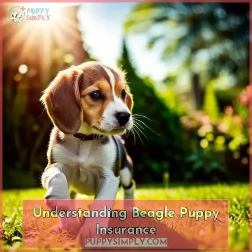 Understanding Beagle Puppy Insurance
