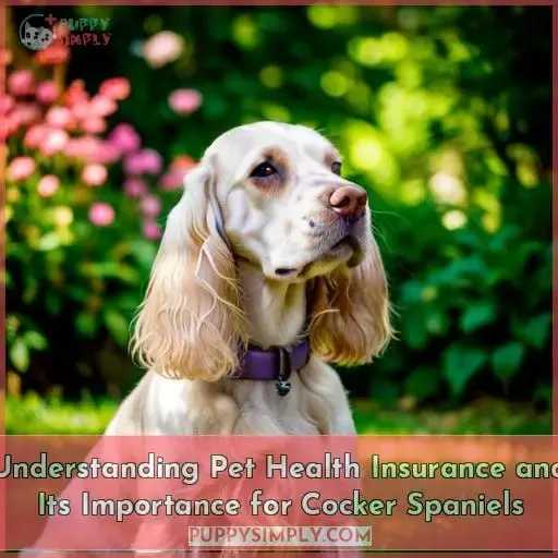 Understanding Pet Health Insurance and Its Importance for Cocker Spaniels