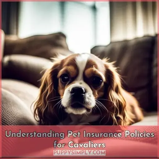 Understanding Pet Insurance Policies for Cavaliers