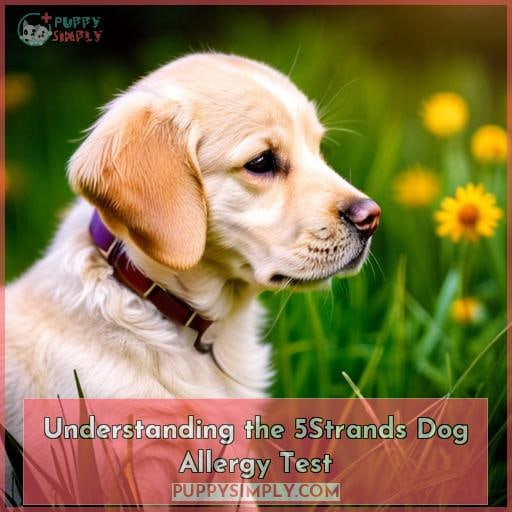 Understanding the 5Strands Dog Allergy Test