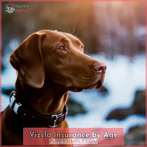 Vizsla Insurance by Age