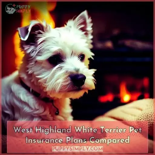 west highland white terrier pet insurance