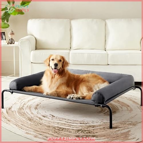 Western Home Elevated Dog Bed