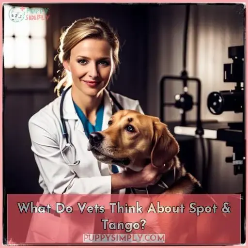 What Do Vets Think About Spot & Tango