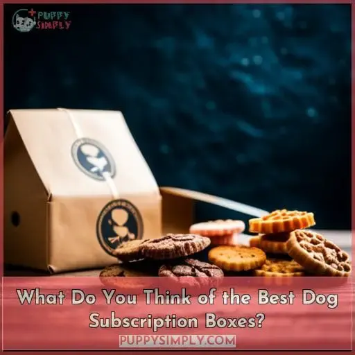 What Do You Think of the Best Dog Subscription Boxes