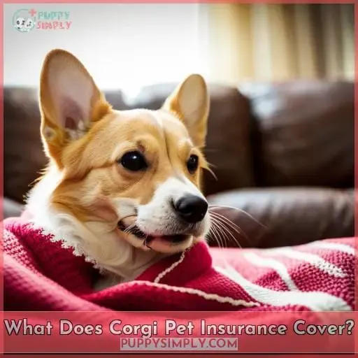 What Does Corgi Pet Insurance Cover