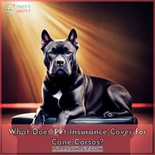 What Does Pet Insurance Cover for Cane Corsos