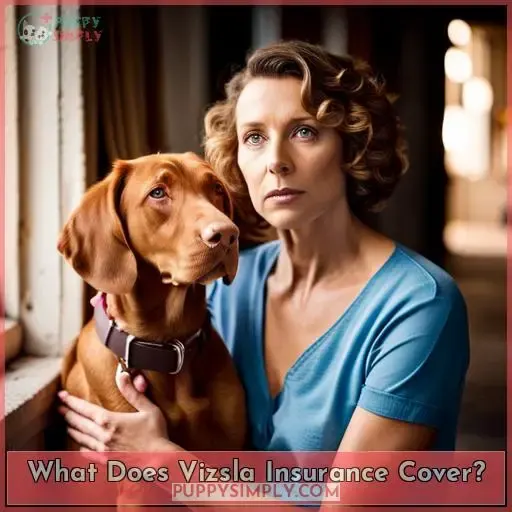 What Does Vizsla Insurance Cover