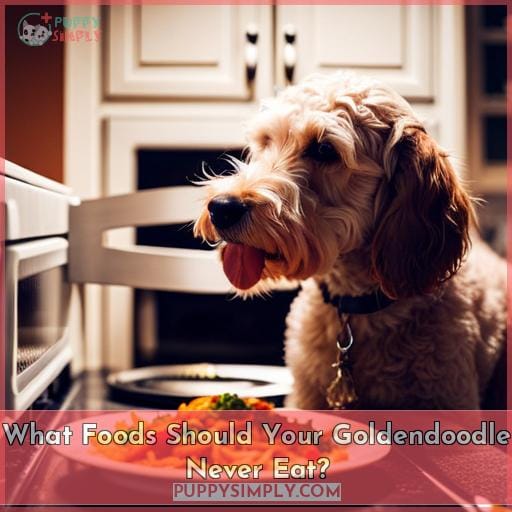What Foods Should Your Goldendoodle Never Eat