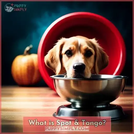 What is Spot & Tango
